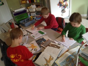 Owl Unit: Illustrating Owls in our journals